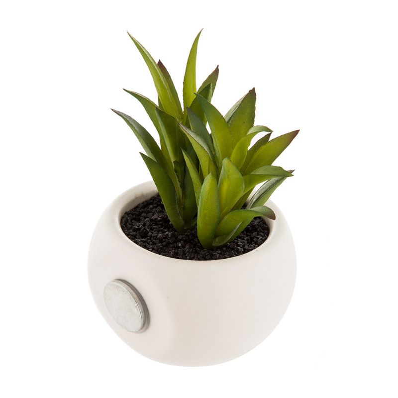 Mini plantas decorativas con iman modelos surtidos 6cm Mini plantas decorativas con iman modelos surtidos 6cm