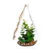 Jarron de cristal colgante con planta decorativa 10x19,5cm colores / modelos surtidos
