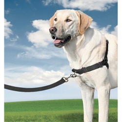 Arnes easy walk mediano color negro