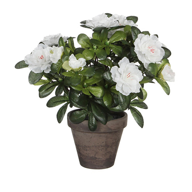 Azalea artificial blanca en tiesto gris ø11,5x27cm Azalea artificial blanca en tiesto gris ø11,5x27cm