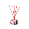 Difusor aroma mikado modelos surtidos 100ml