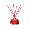 Difusor aroma mikado modelos surtidos 100ml