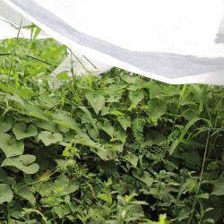Tela de protección para cultivos 1,5 x 5 m 30gr/m²