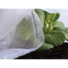 Tela de protección para cultivos 2 x 10 m 30gr/m²