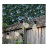 Guirnalda bombillas vintage exterior 14,5m 20 leds ip44 luz calida lumineo