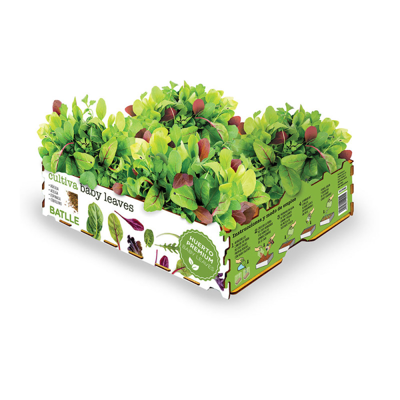 Caja de ensaladas baby leaves batlle Caja de ensaladas baby leaves batlle
