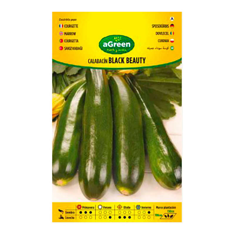 Sobre con semillas de calabacin black beauty agreen Sobre con semillas de calabacin black beauty agreen