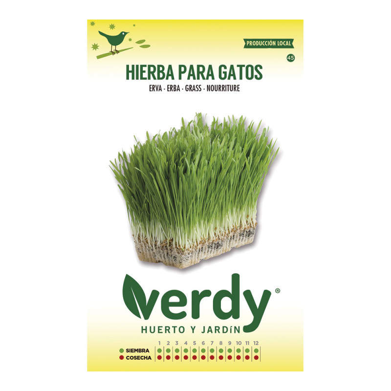 Sobre de semillas de hierba para gatos verdy Sobre de semillas de hierba para gatos verdy