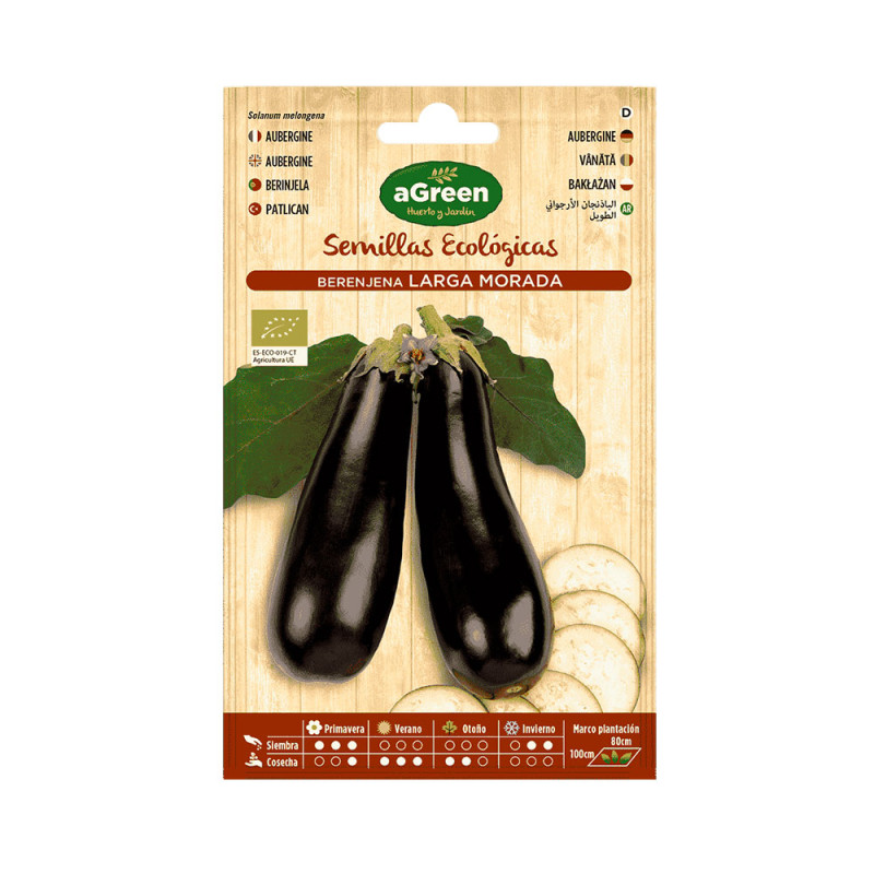 Sobre con semillas eco de berenjena larga morada agreen Sobre con semillas eco de berenjena larga morada agreen