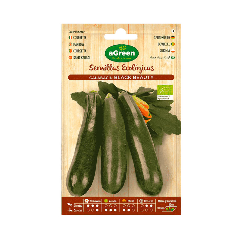 Sobre con semillas eco de calabacin black beauty agreen Sobre con semillas eco de calabacin black beauty agreen