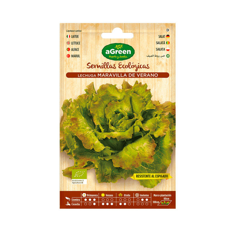 Sobre con semillas eco de lechuga maravilla agreen Sobre con semillas eco de lechuga maravilla agreen
