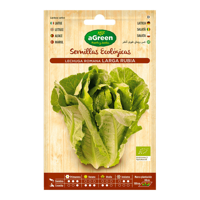 Sobre con semillas eco de lechuga romana larga agreen Sobre con semillas eco de lechuga romana larga agreen