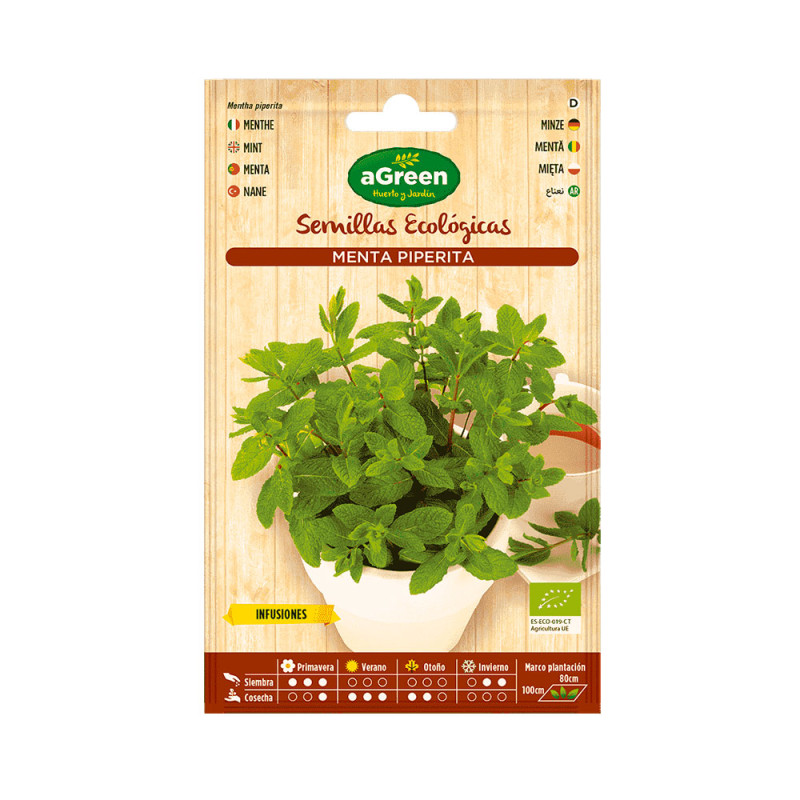 Sobre con semillas eco de menta agreen Sobre con semillas eco de menta agreen