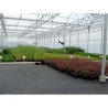 Malla antihierba 100 gr/m² 2 x 10 m color negra