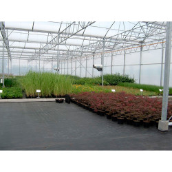 Malla antihierba 100 gr/m² 2 x 5 m color negra