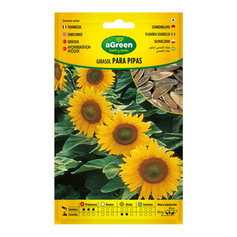 Sobre con semillas de girasol para pipas 301024bolsh agreen Sobre con semillas de girasol para pipas 301024bolsh agreen