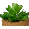Planta suculenta artificial de 10cm modelos surtidos 809279