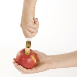 Vaciador de manzanas presto. tescoma