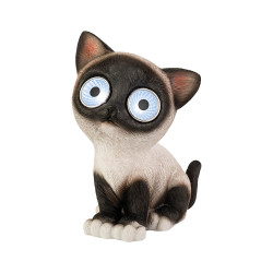 Gato luz solar, modelos variados