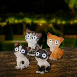 Gato luz solar, modelos variados