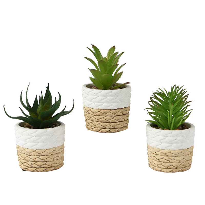 Conjunto 3 macetas de decoración Conjunto 3 macetas de decoración