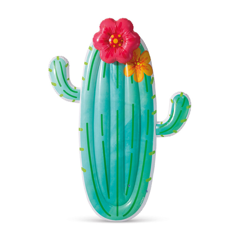 Infable piscina cactus Infable piscina cactus