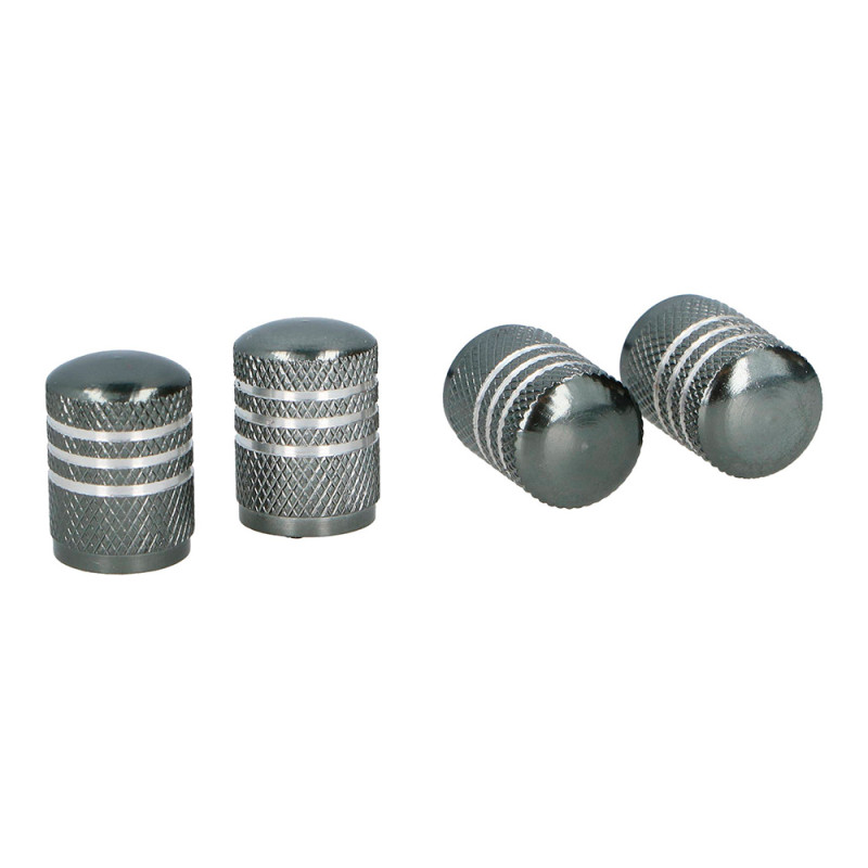 Set de 4 tapones para rueda de coche gris Set de 4 tapones para rueda de coche gris