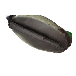 Pato cuello verde reclamo aves 36 x 16 x 16cm edm